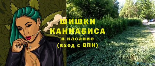 гидропоника Карпинск