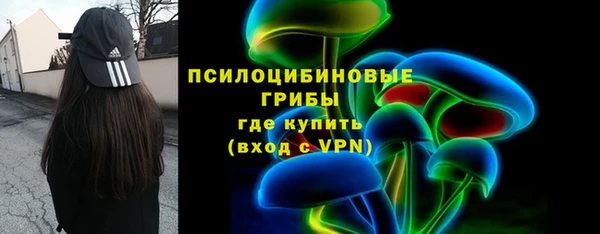 гидропоника Карпинск