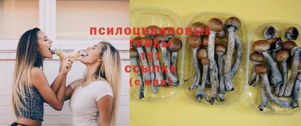 гидропоника Карпинск