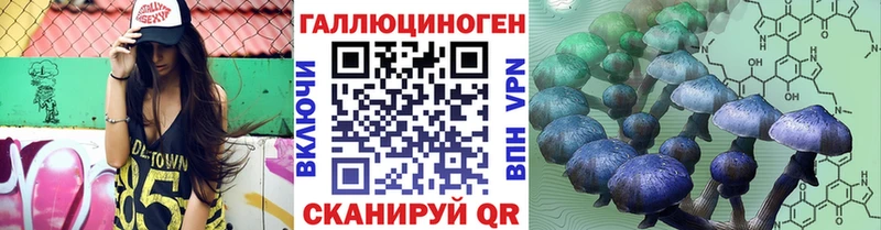Псилоцибиновые грибы Psilocybe Купить Мглин